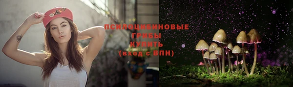 дживик Осташков