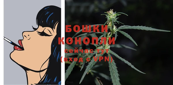 дживик Осташков