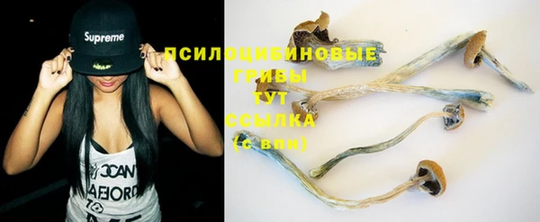 стаф Пересвет