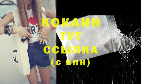 стаф Пересвет