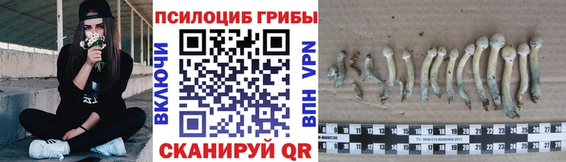 Галлюциногенные грибы GOLDEN TEACHER Суздаль