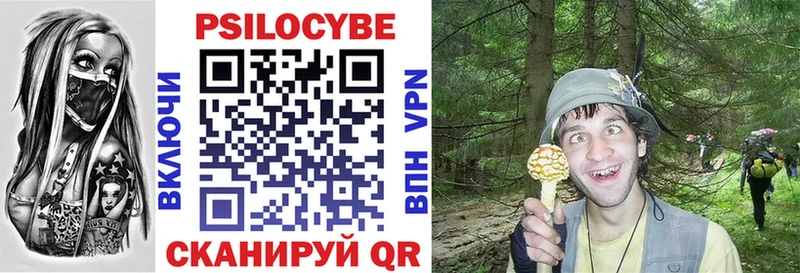 darknet официальный сайт  Суздаль  Галлюциногенные грибы Psilocybe 